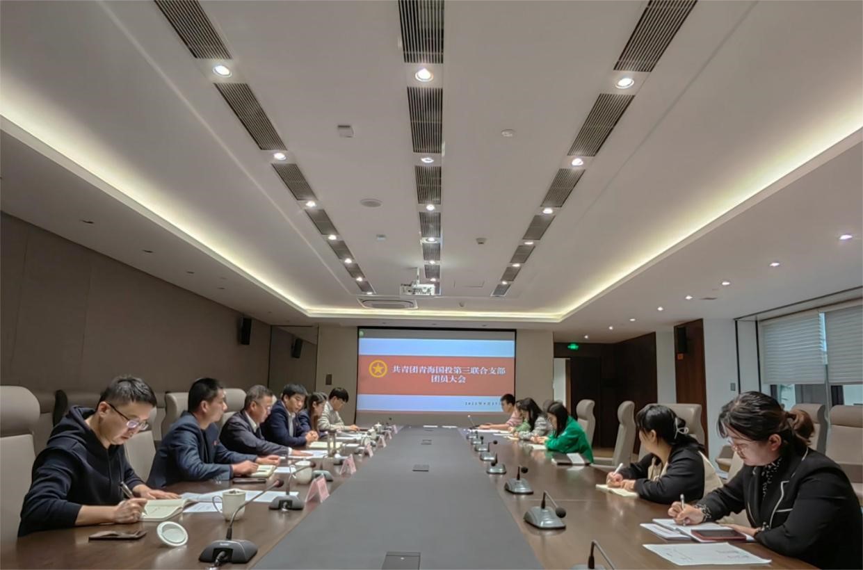 亚娱体育·(中国)官方网站第三联合团支部召开团员大会—凝聚青年力量  助力国企发展