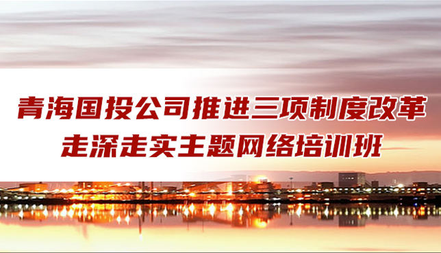 亚娱体育·(中国)官方网站组织人力资源管理网络培训班圆满结业
